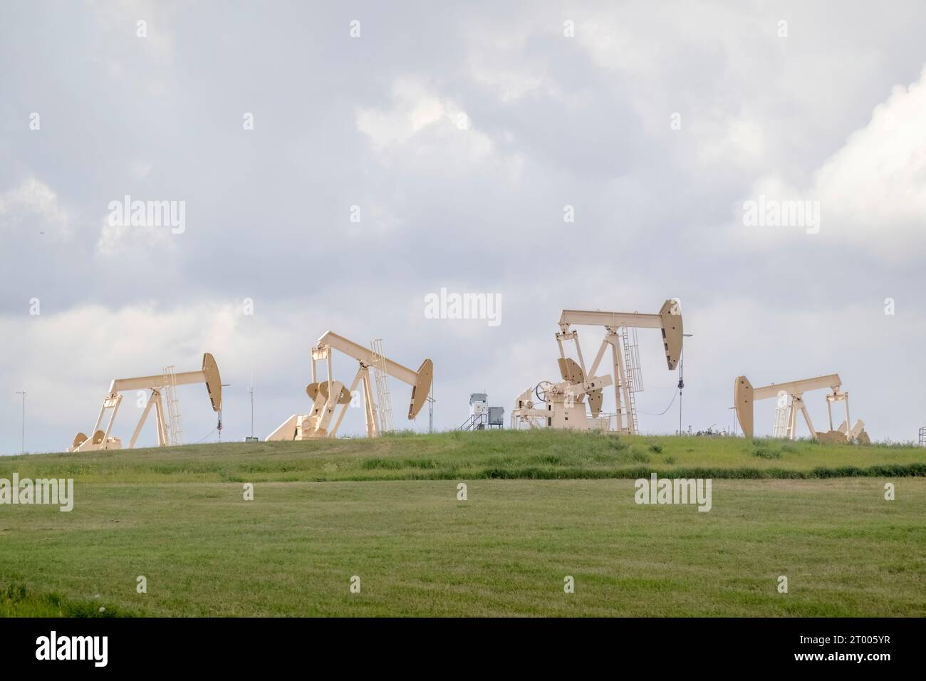 Several crude oil production wells, a site with pump jacks in a rural area during summer in Alberta Canada. Concept: Oil and gas Stock Photo