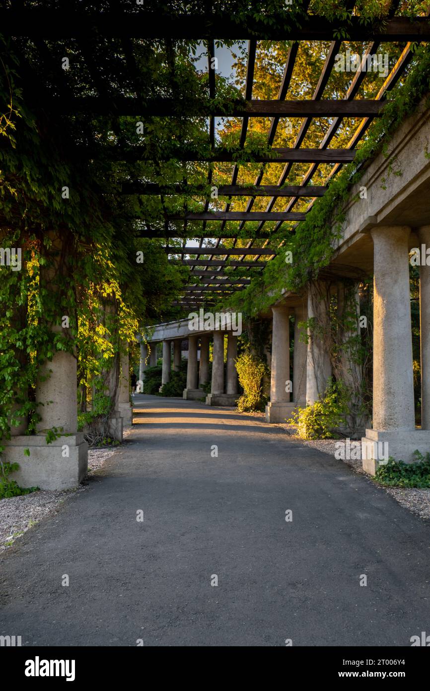 Pergola with green plants at Centennial Hall in Wroclaw. Poland in ...