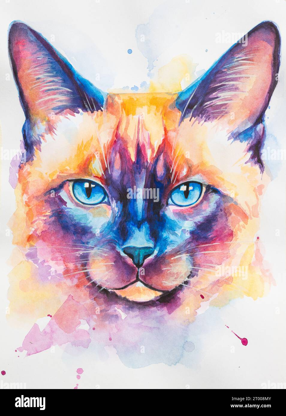 Siamese Cat painted in watercolor on a white background in a realistic manner, colorful, rainbow. Ideal for teaching materials, books and nature Stock Photo