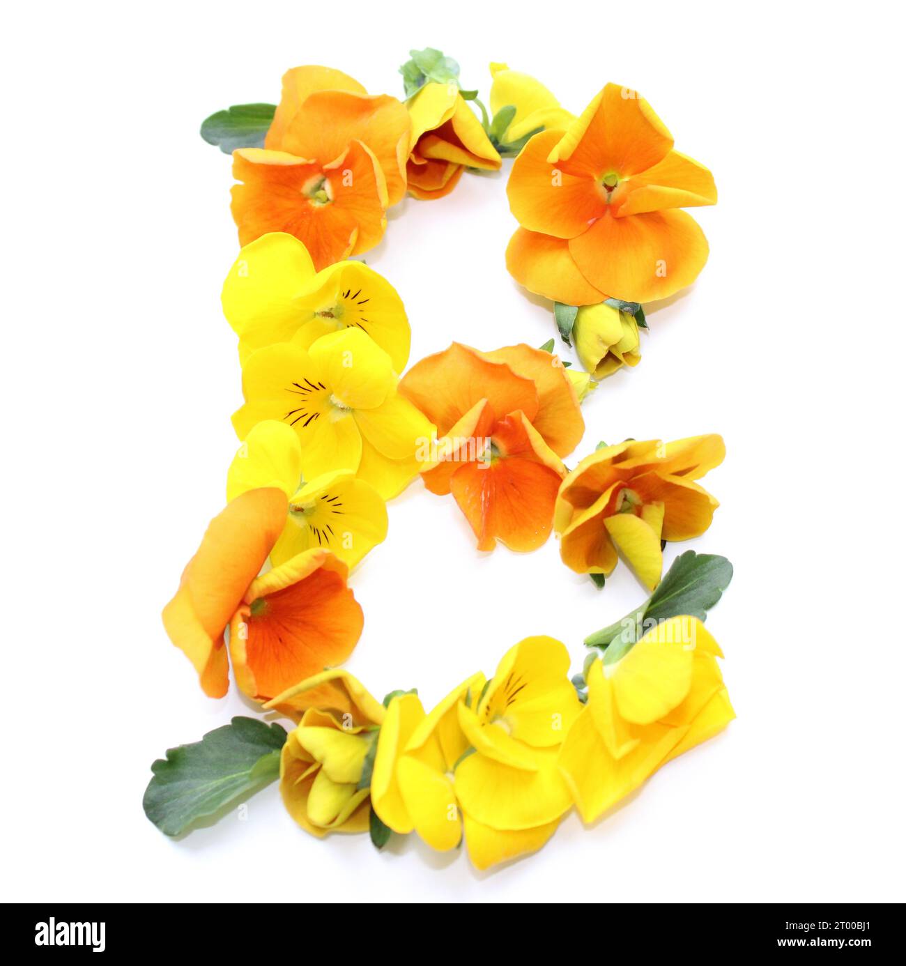 B, natural flower arrangements with orange yellow real fresh flowers combined letter alphabet for Mother's Valentine's Day Wedding Thank you cards Stock Photo
