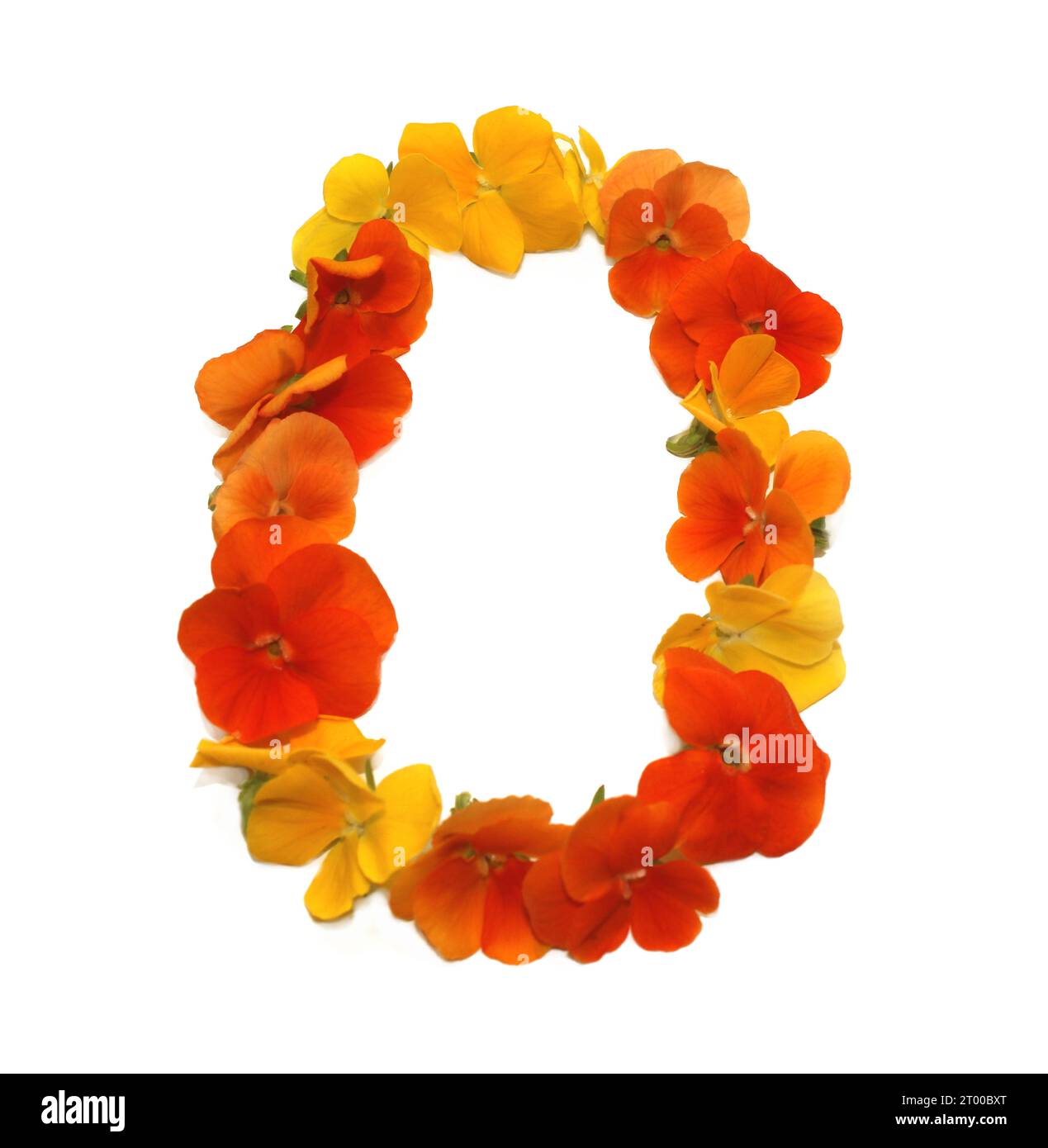 number made from freshly picked yellow, orange, red, flowers. isolated