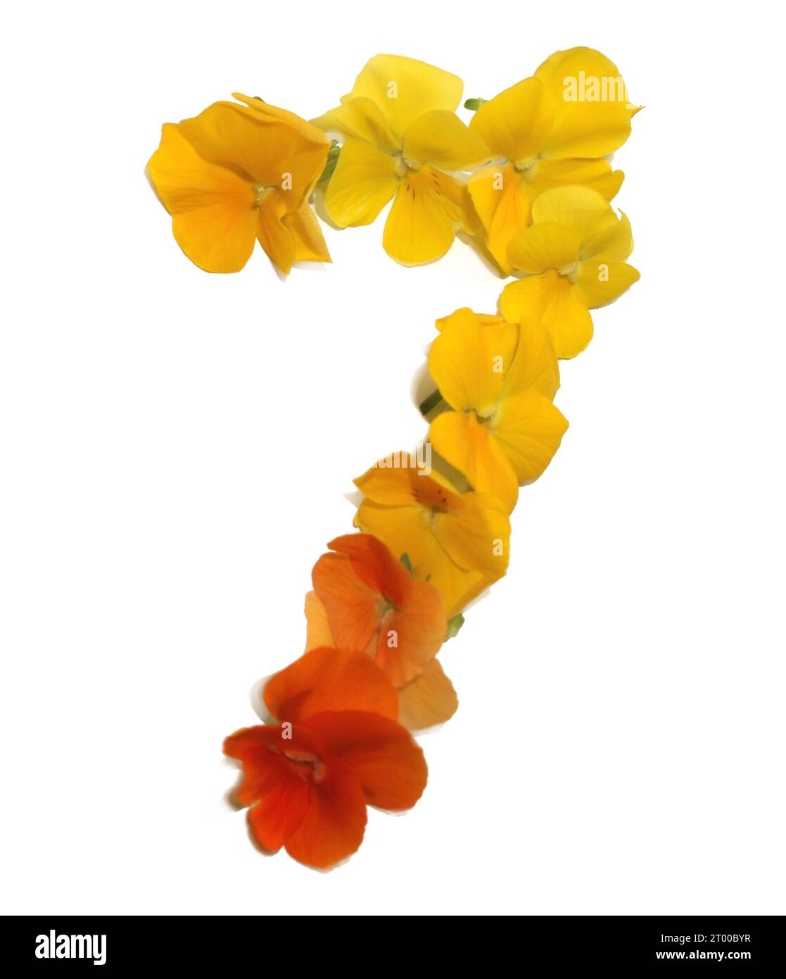 Number 7 flower hi-res stock photography and images - Alamy