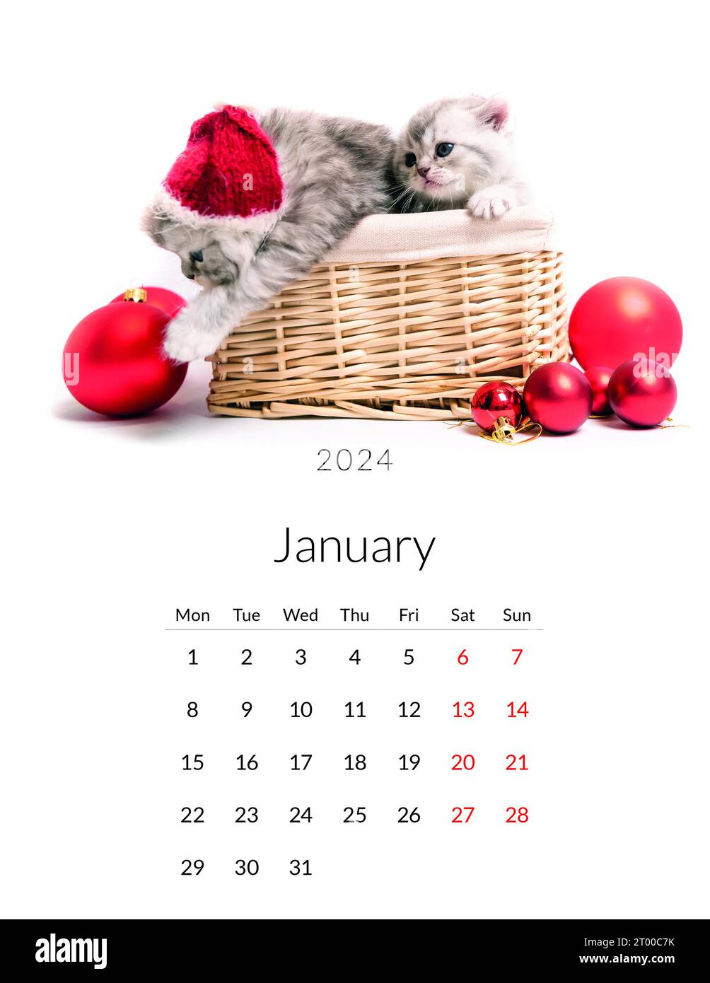 January 2024 Photo calendar with cute cats. Annual daily planner