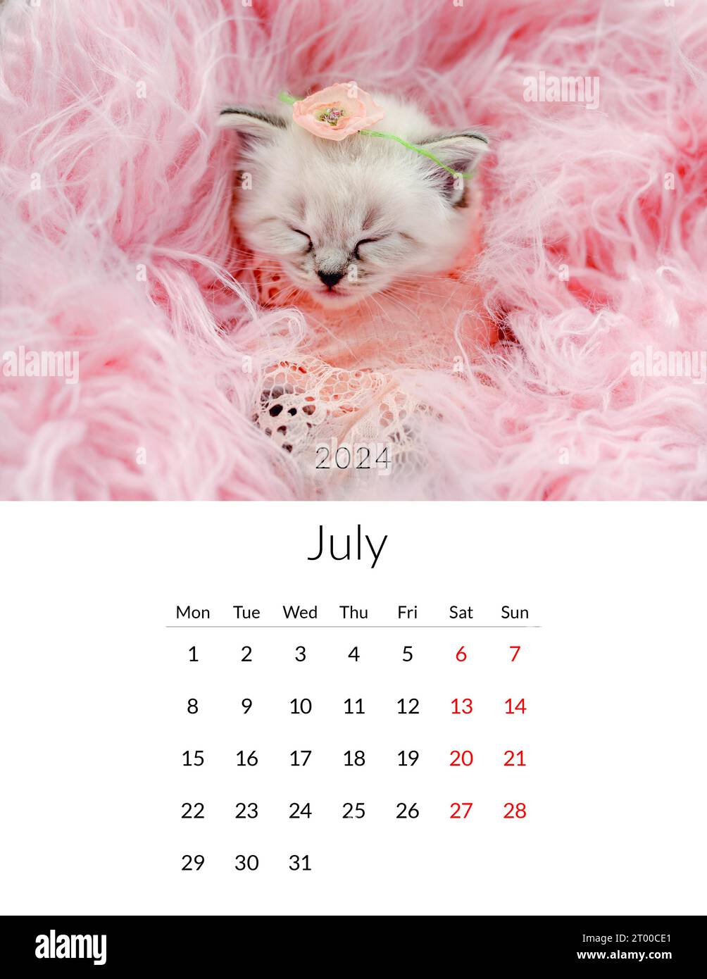 July 2024 Photo calendar with cute cats. Annual daily planner template