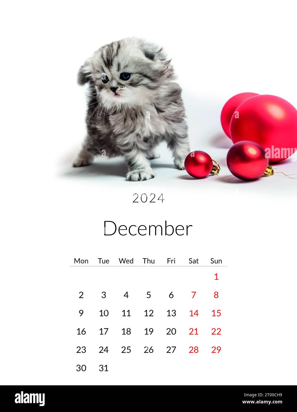 2024 Cute Cats Free Printable Monthly Calendar - Printables and Inspirations