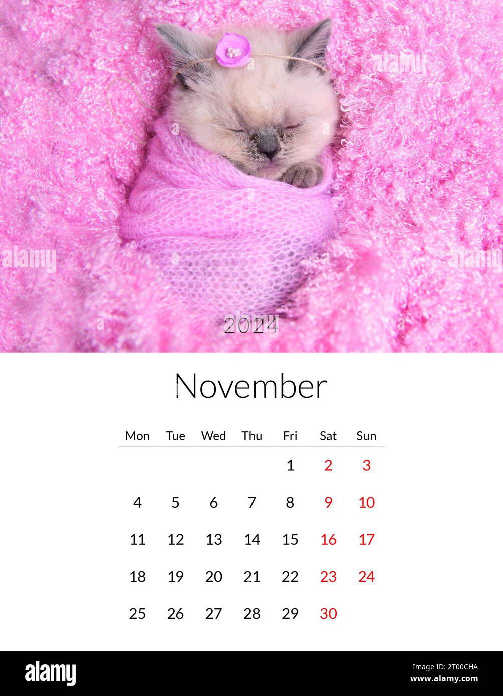 2024 Cute Cats Free Printable Monthly Calendar - Printables and Inspirations