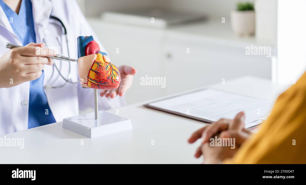 Cardiology Consultation treatment of heart disease. Doctor cardiologist while consultation