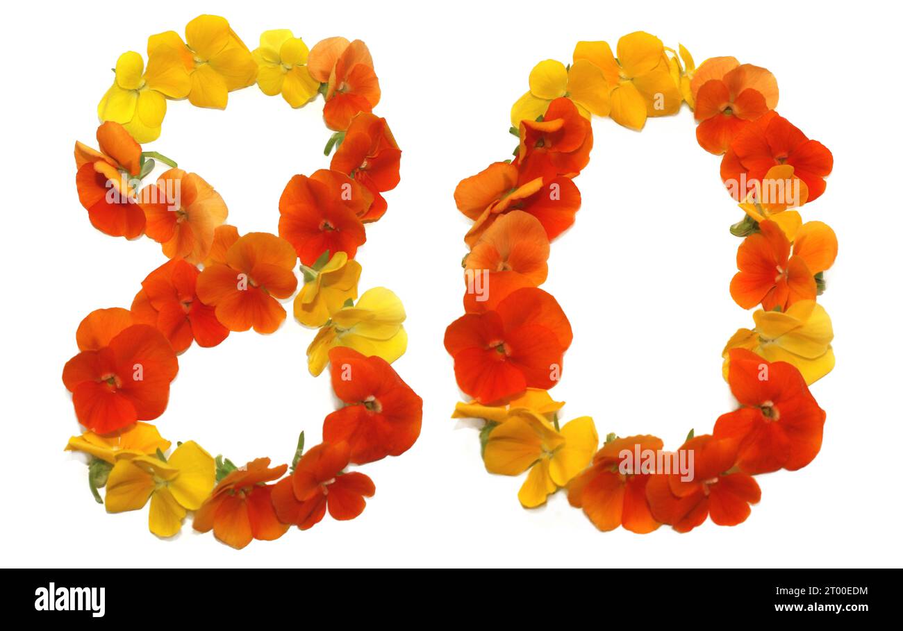 number made from freshly picked yellow, orange, red, flowers. isolated on white background for birthday party, anniversary, 80, 0, eighty Stock Photo