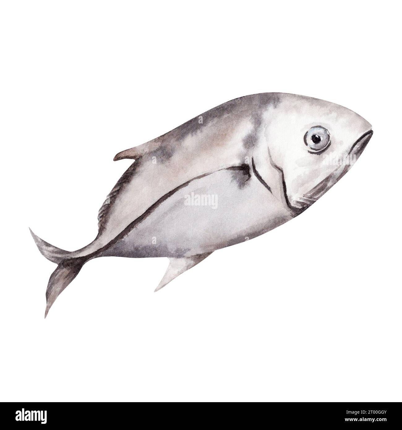 Watercolor illustration of an ocean fish on a white background. Hand ...