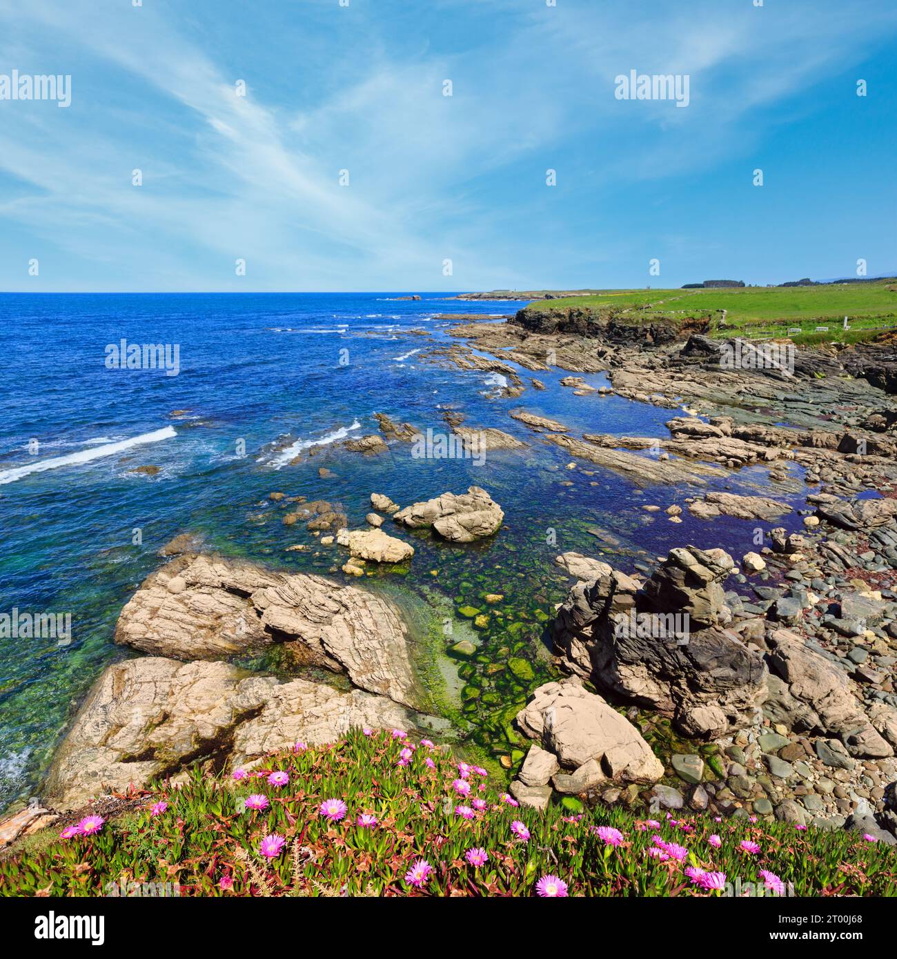 Atlantic blossoming coastline (Spain). Stock Photo