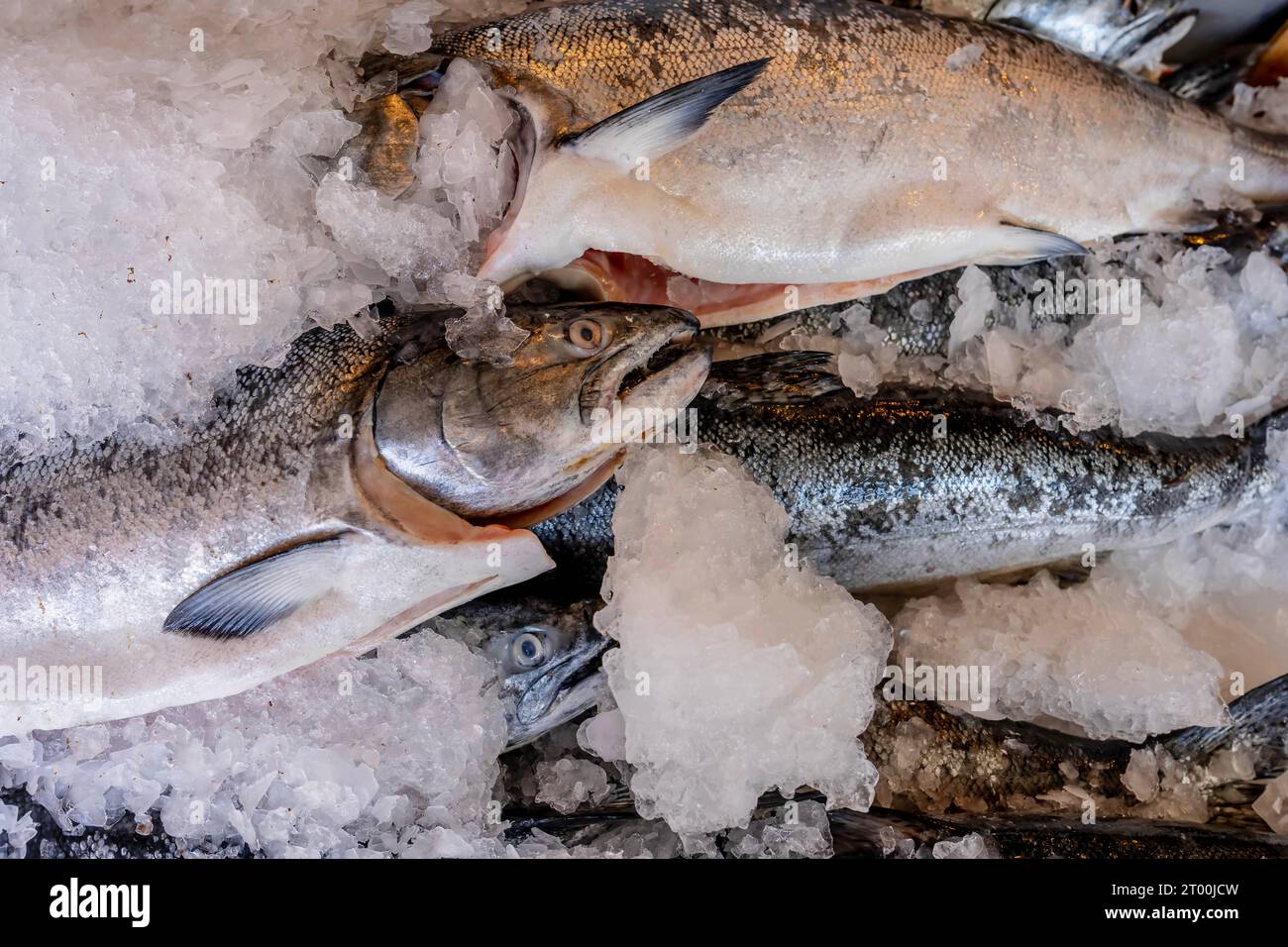 Fresh Seafood On Ice At An Open Air Market Stock Photo
