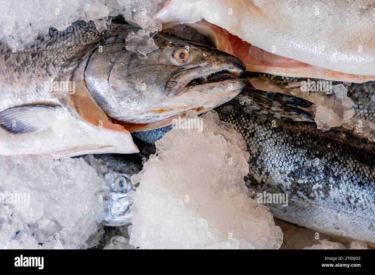 Fresh Seafood On Ice At An Open Air Market Stock Photo