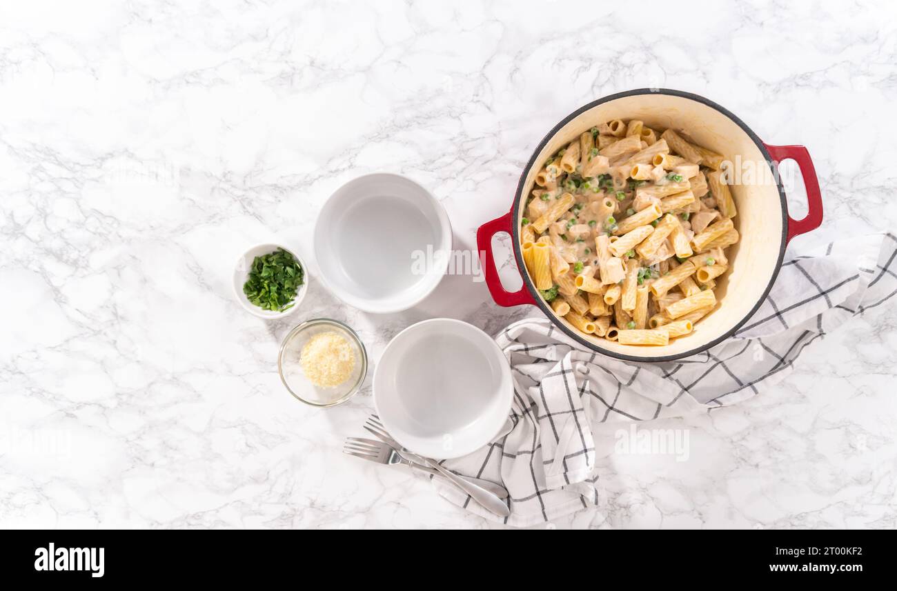 Flat lay. Chicken alfredo pasta with green peas and rigatoni pasta in a