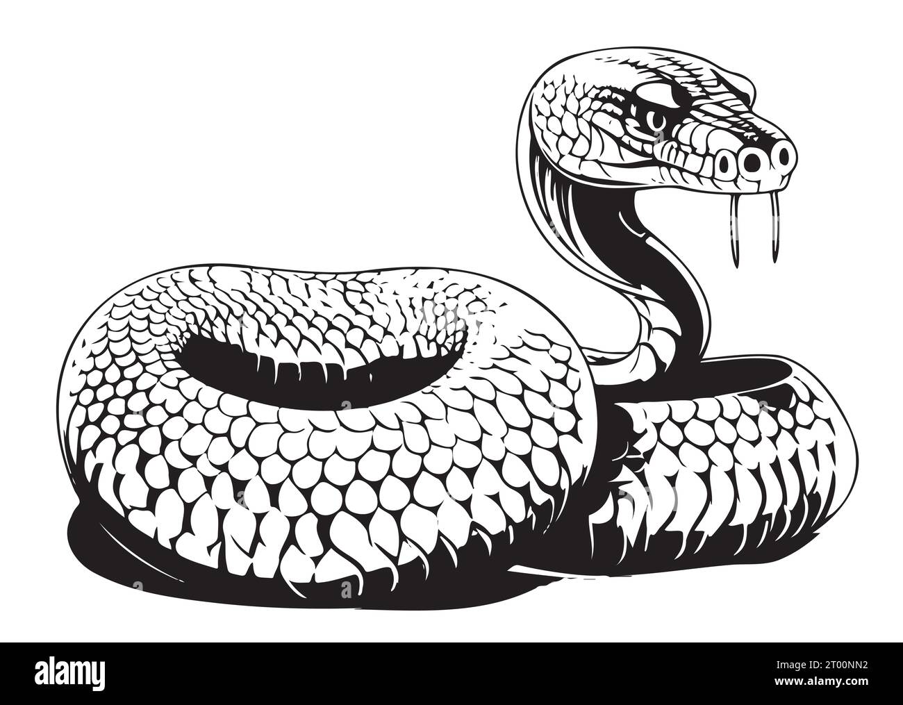 Snake cobra sketch hand drawn Vector Reptiles Stock Vector