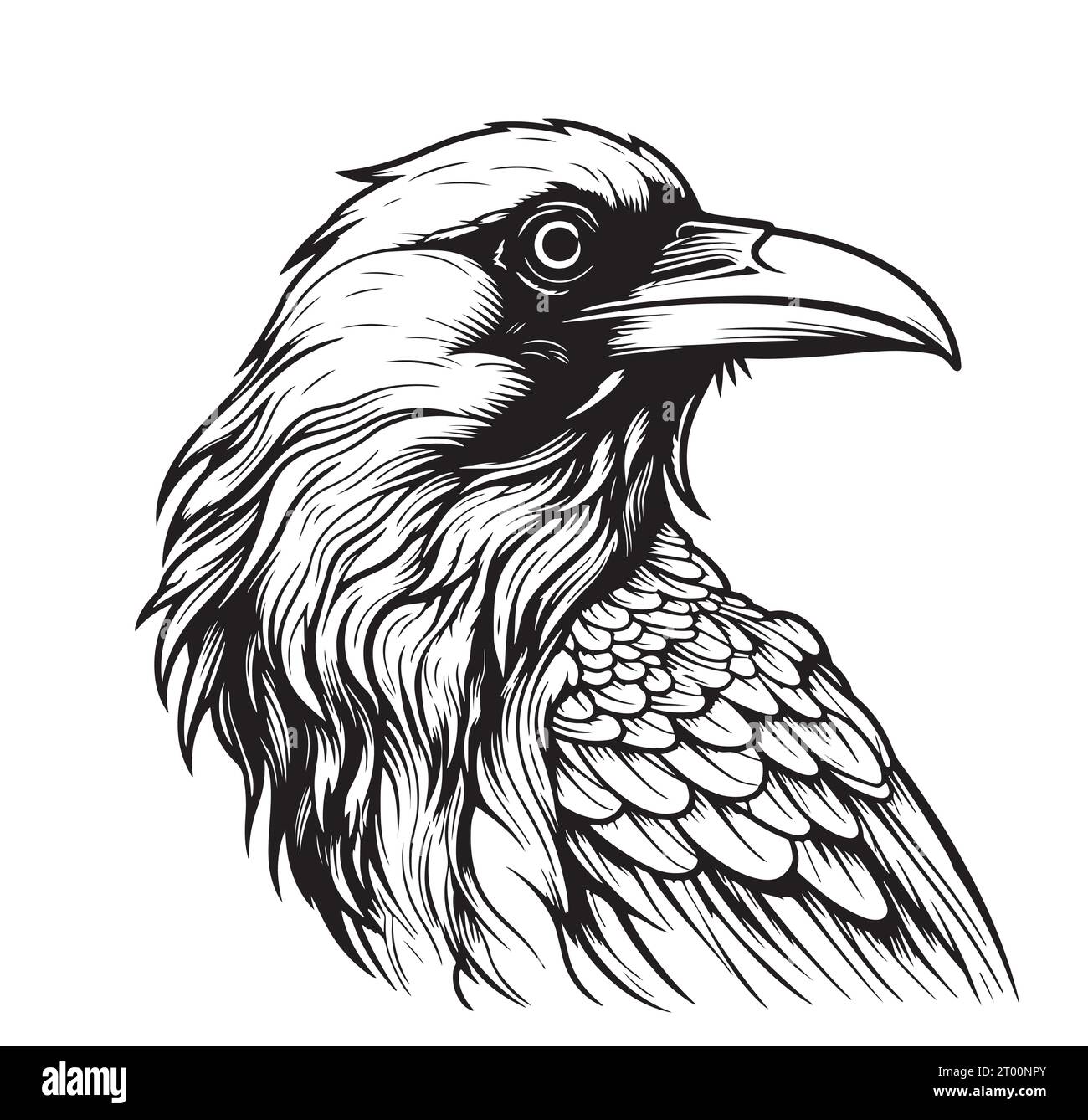 Crow head sketch hand drawn Vector Wild birds Stock Vector