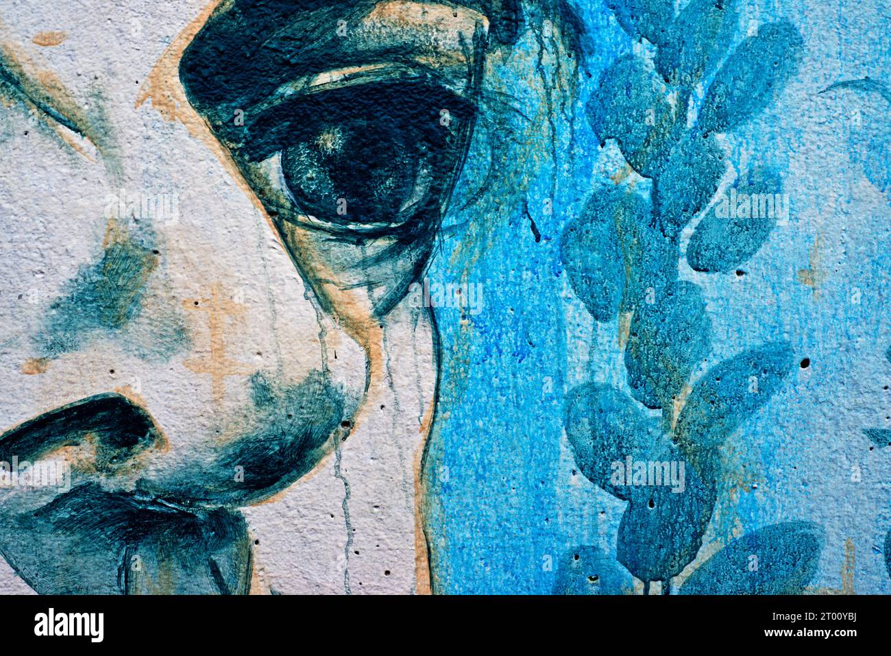 Street art portrait, Scarborough Terrace Footbridge, York, Yorkshire, England Stock Photo Alamy