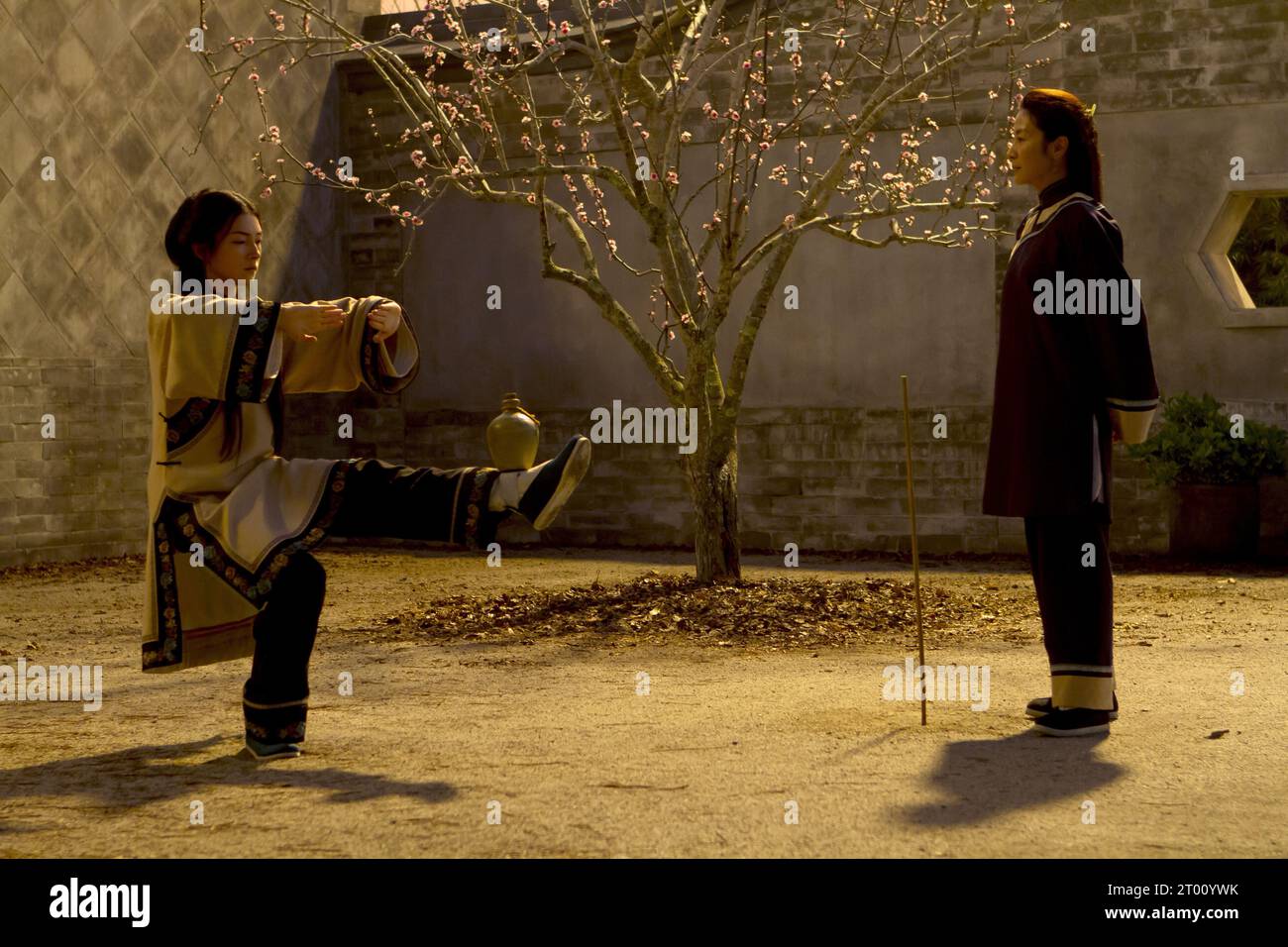 Crouching Tiger/Hidden Dragon: Sword of Destiny Wo hu cang long: Qing ming bao jian Year : 2016 Chine / USA Director : Woo-Ping Yuen Natasha Liu Bordizzo, Michelle Yeoh Stock Photo