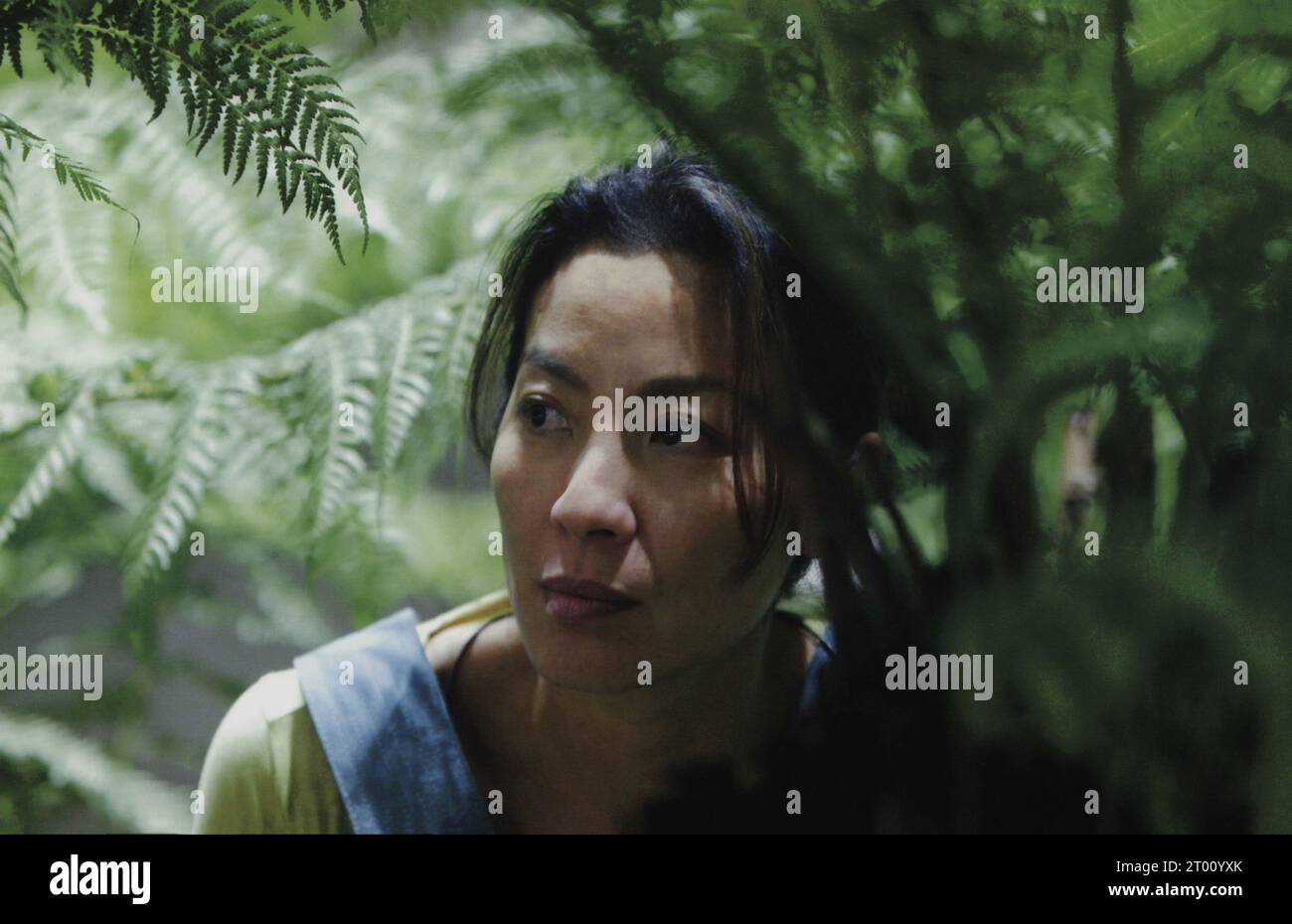 Sunshine Year 2007 UK Director Danny Boyle Michelle Yeoh Stock Photo Alamy