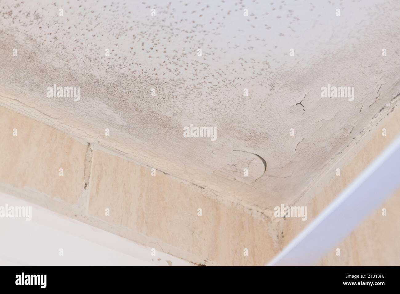 Wall and ceiling of a house with damp, fungus, mold and peeling