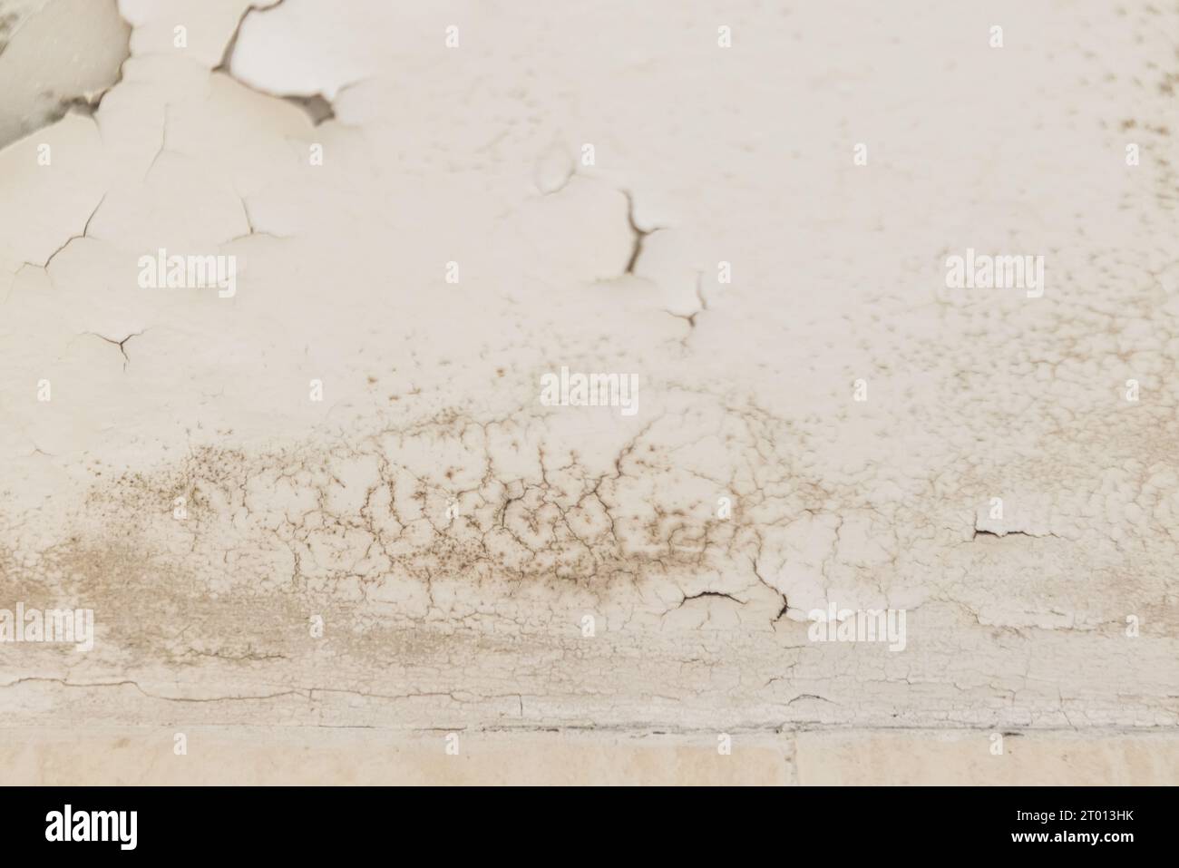 Wall and ceiling of a house with damp, fungus, mold and peeling