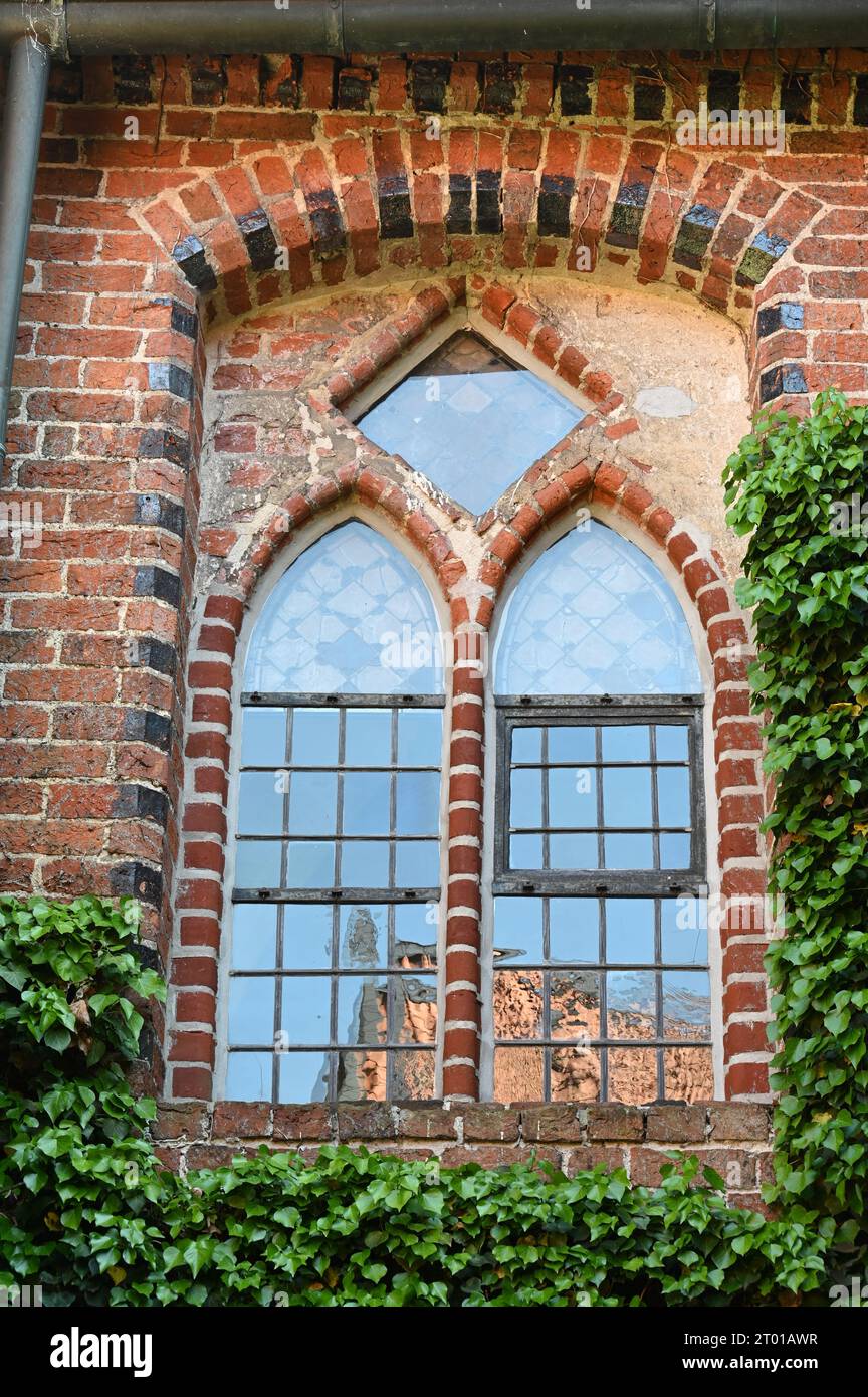 Climbing plants on the brick facade of the medieval Wiehausen monastery near Celle Stock Photo