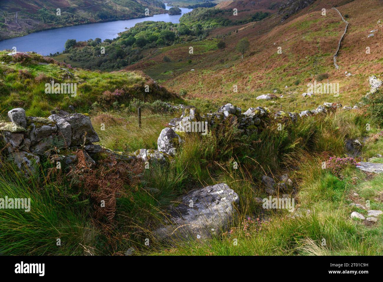 Loch Trool from the path to the Gairland Burn, Glentrool, Dumfries and Galloway Scotland. Stock Photo