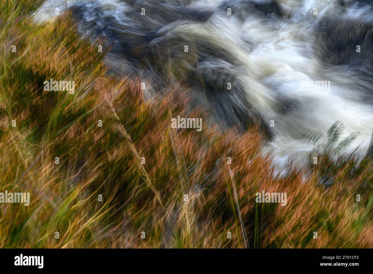 The Gairland Burn in Galloway, Scotland Stock Photo