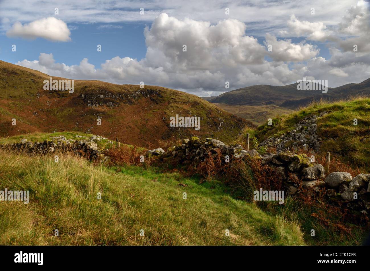 The Minnigaff Hills seen from the path along The Gairland Burn, Glentrool, Galloway, Scotland Stock Photo