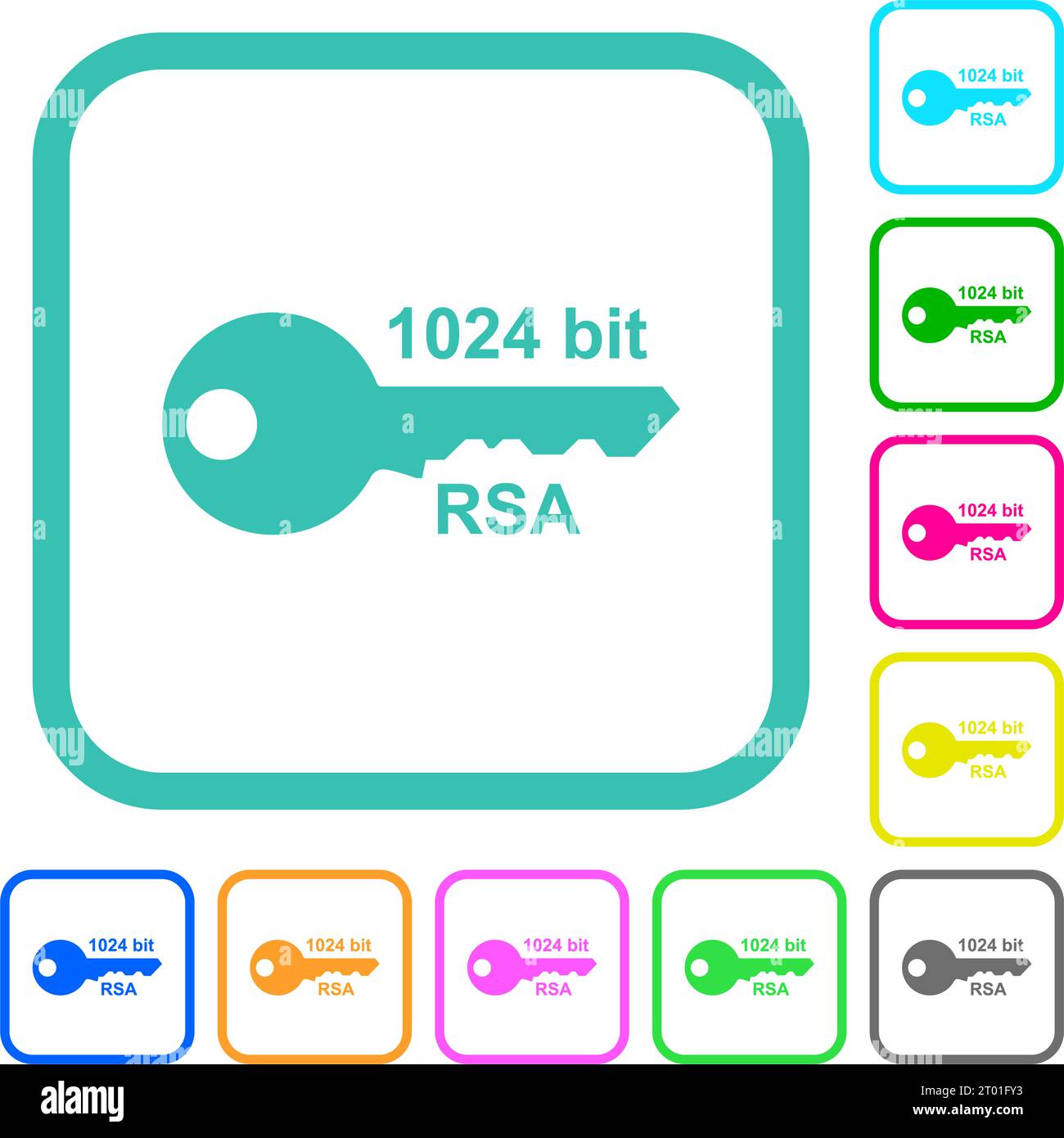 1024 bit rsa encryption vivid colored flat icons in curved borders on ...