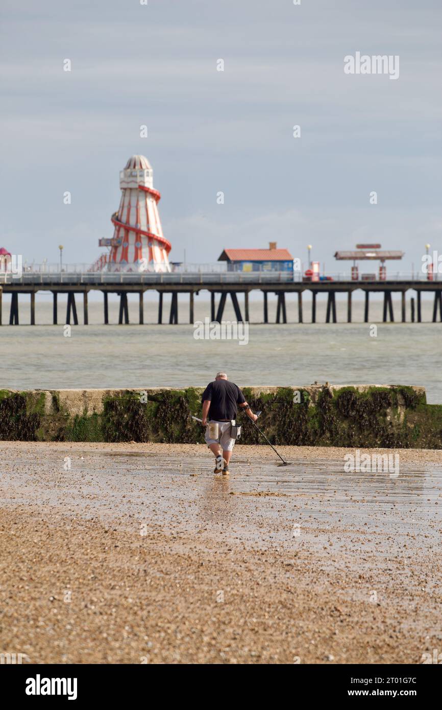Metal detecting along the beach at Clacton on Sea Stock Photo Alamy