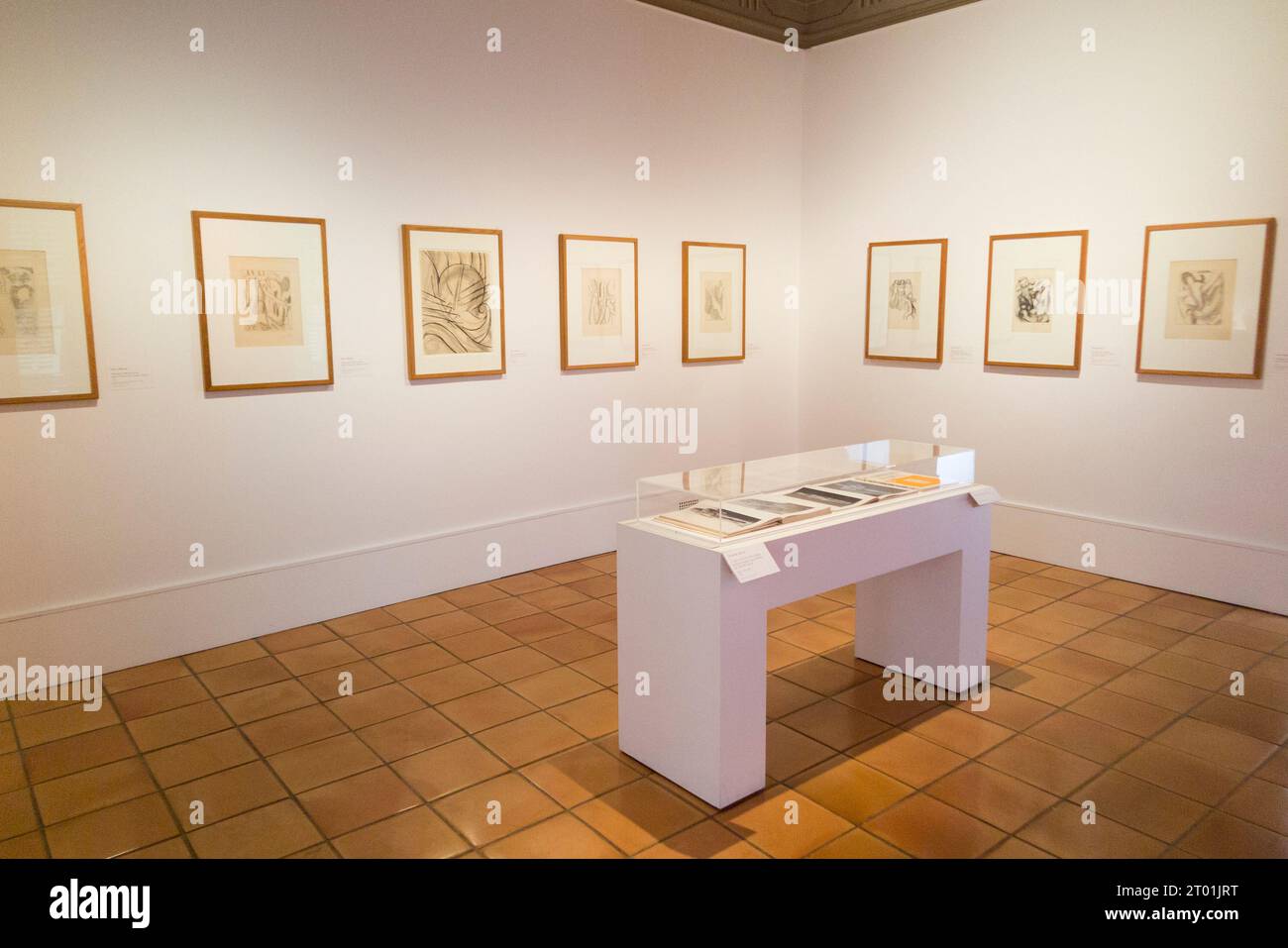 Room featuring framed works, drawings, by artist Henri Matisse in the Musee Matisse gallery building in Nice, France. (135) Stock Photo