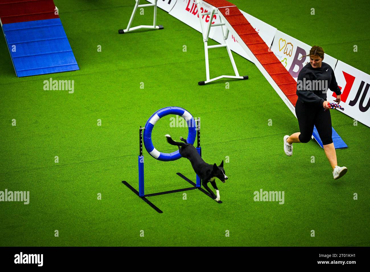 Seletiva para o FCI Agility World Championship 2023 – Brasil Agility