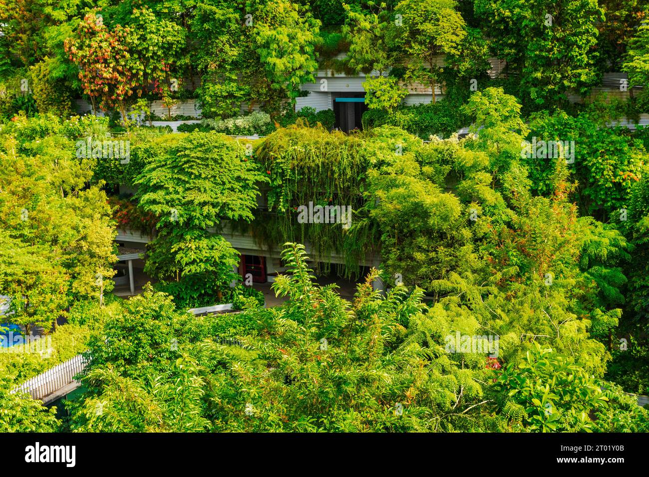 Kampung Admiralty is an 11-story public housing complex in Singapore covered in vegetation. Landscape design includes ground level planting, greenroof Stock Photo