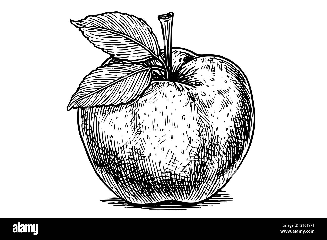 Apple drawing ink sketch. Engraved style retro vector illustration