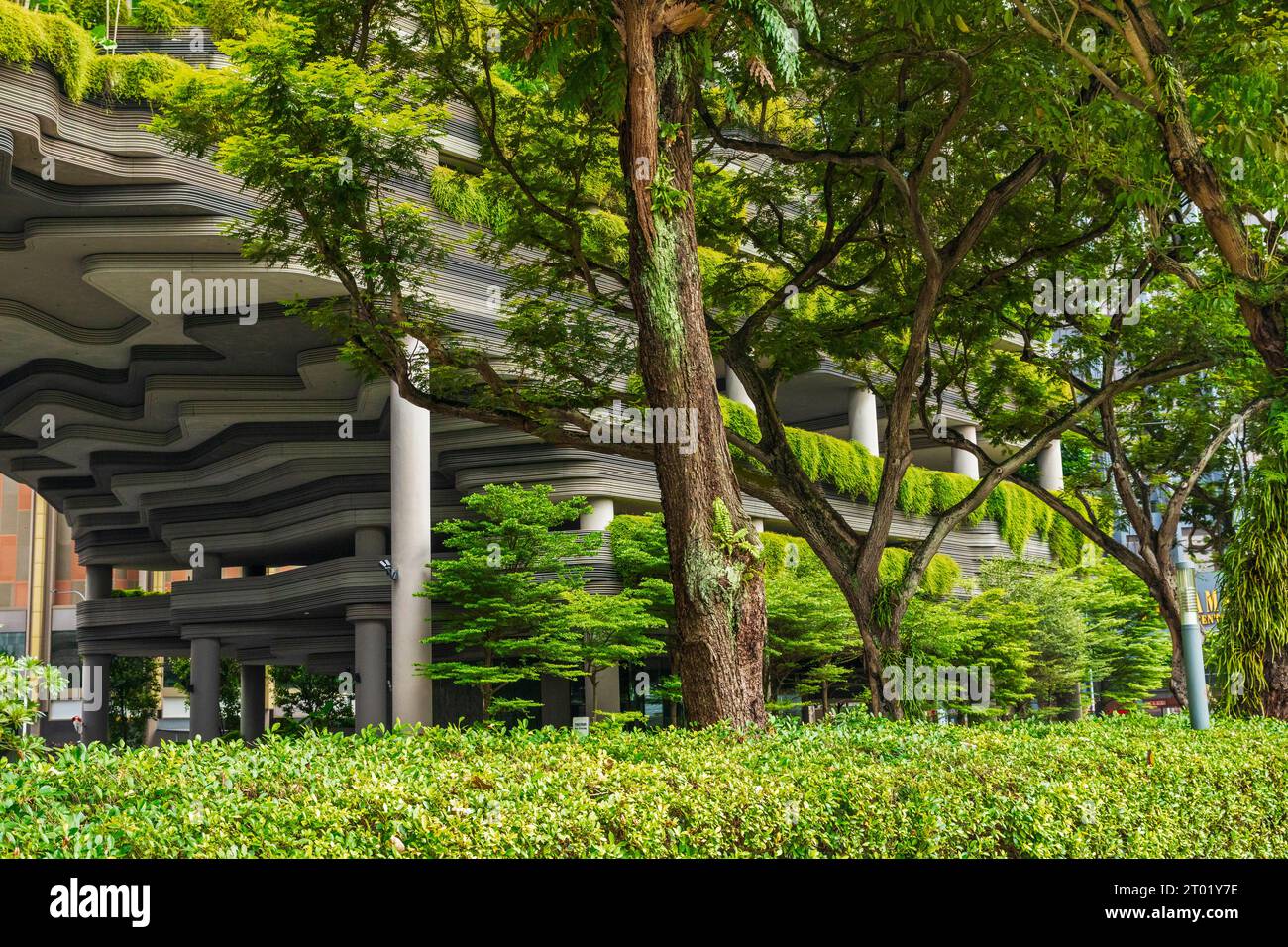 Hotel Park Royal on Pickering, Singapore.  Landscape design includes tiered façade planted with tropical ferns and creeping vines. Stock Photo