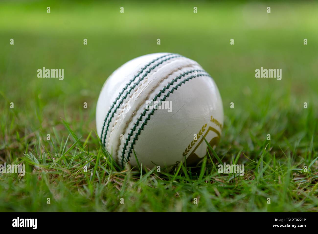 Cricket world cup trophy hires stock photography and images Alamy