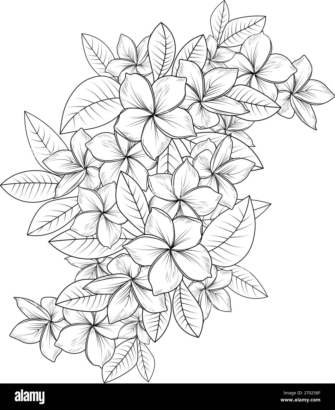 Vintage flower drawings hi-res stock photography and images - Alamy