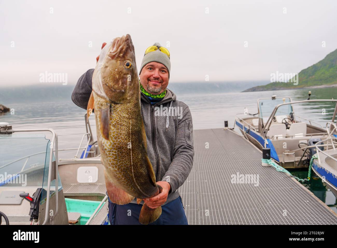 Fisherman with big cod fish. Norwegian fisherman has caught large Cod ...