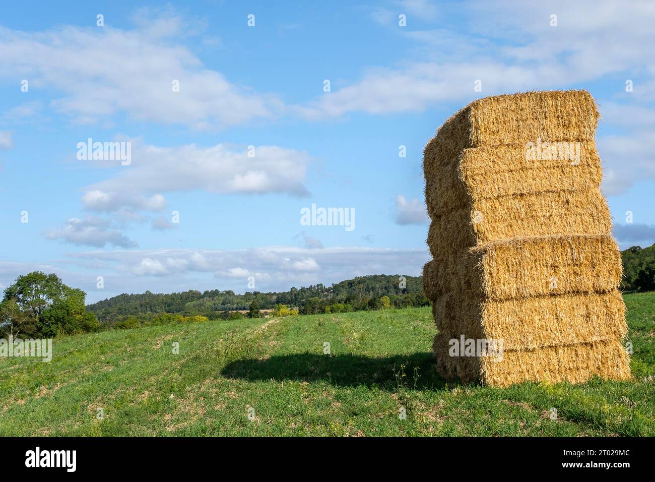 Straw bales piled up Ballots de paille empiles Stock Photo Alamy