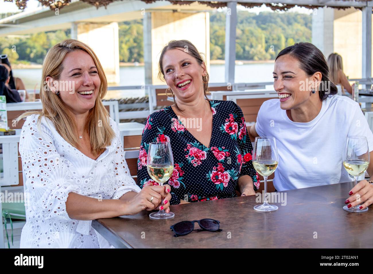 Girlfriends drinking wine hi-res stock photography and images - Page 2 -  Alamy, image size:1300x956