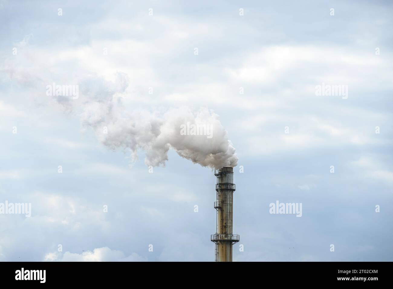 Smoke out of a manufacture's  chemney dehydrating  alfalfa or beat | Fumee s'echappant de la cheminee d'une entreprise qui deshydrate la luzerne, la p Stock Photo