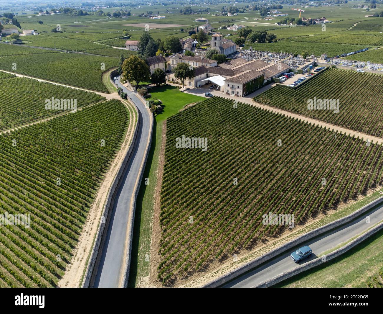 Harvest time in SaintEmilion medieval village, wine making region on