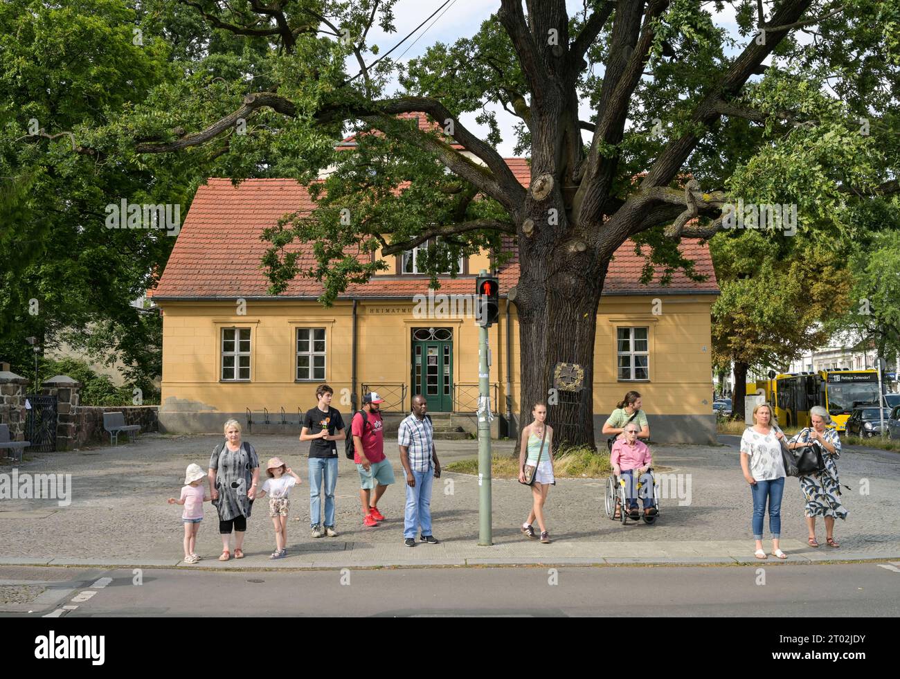 Friedenseiche, Heimatmuseum, Clayallee, Zehlendorf, Berlin *** Peace oak, local history museum, Clayallee, Zehlendorf, Berlin Stock Photo