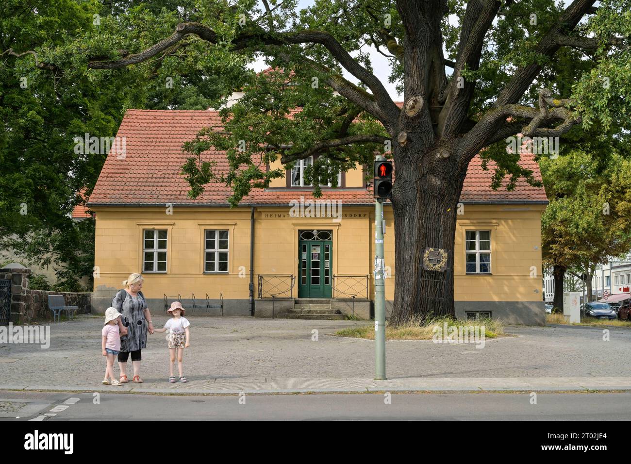 Friedenseiche, Heimatmuseum, Clayallee, Zehlendorf, Berlin *** Peace oak, local history museum, Clayallee, Zehlendorf, Berlin Stock Photo