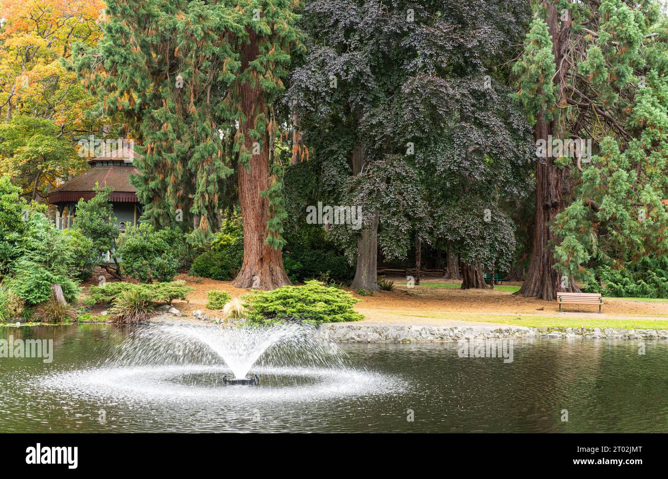 Redwood tree and water hi-res stock photography and images - Alamy