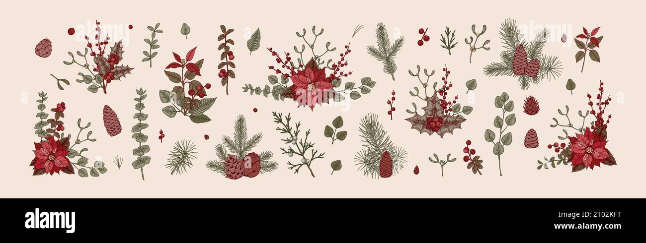 Set of Merry Christmas snd Happy New Year floral decoration. Christmas tree branches, mistletoe, poinsettia flower, eucalyptus in sketch style. Design Stock Vector