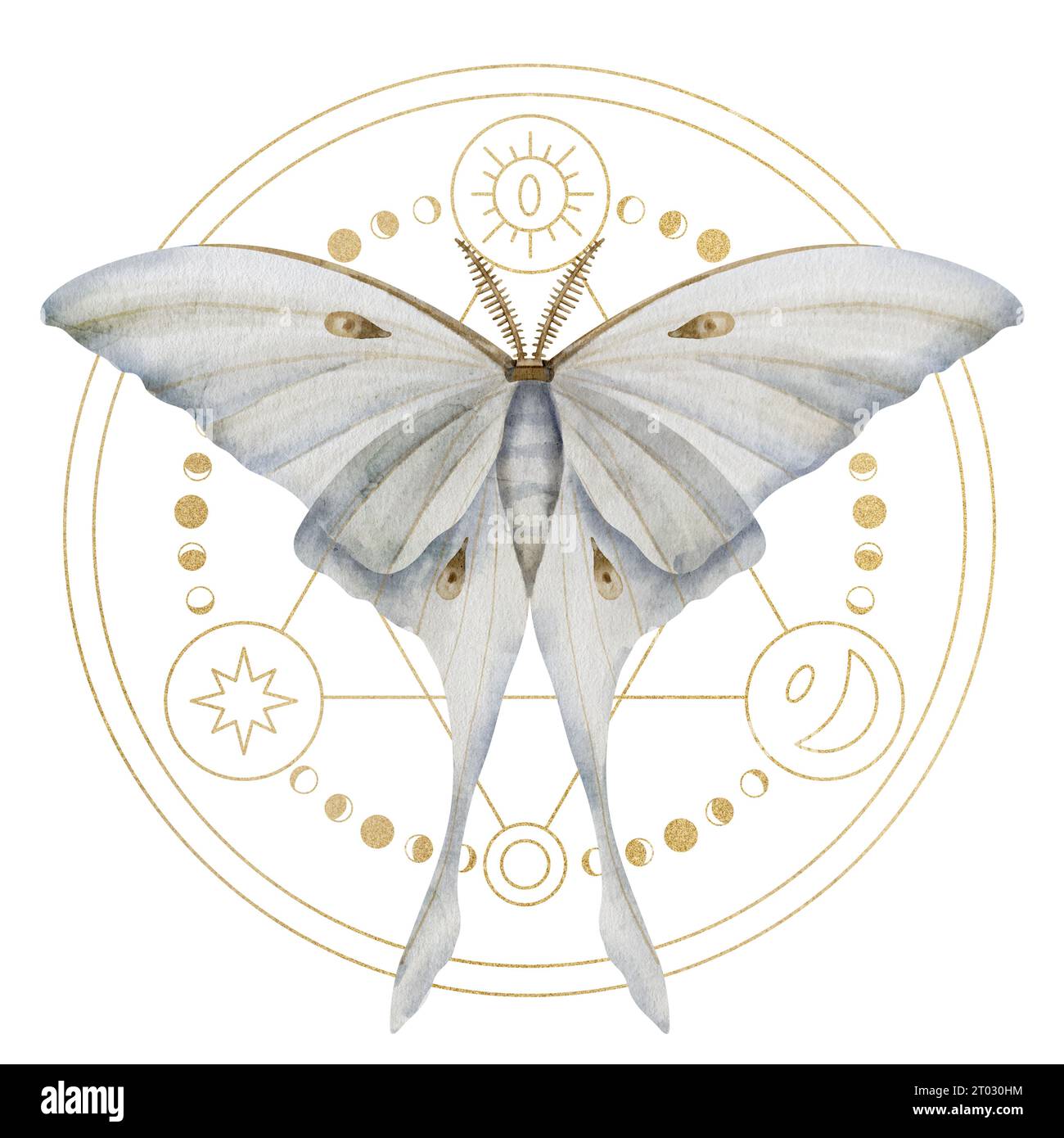 Luna Moth in a magical pentagram sign. Watercolor illustration of mystical pentacle with Moon night butterfly. Hand drawn on white isolated background. Lunar cycle on golden celestial clipart. Stock Photo