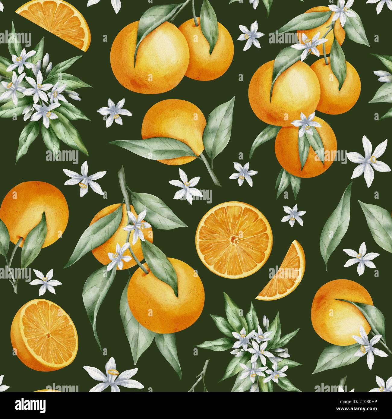 Seamless Pattern with Orange Fruit Branches, green leaves and flowers ...