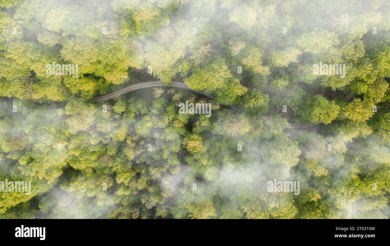 Drone shot tropical rain forest hi-res stock photography and images - Alamy