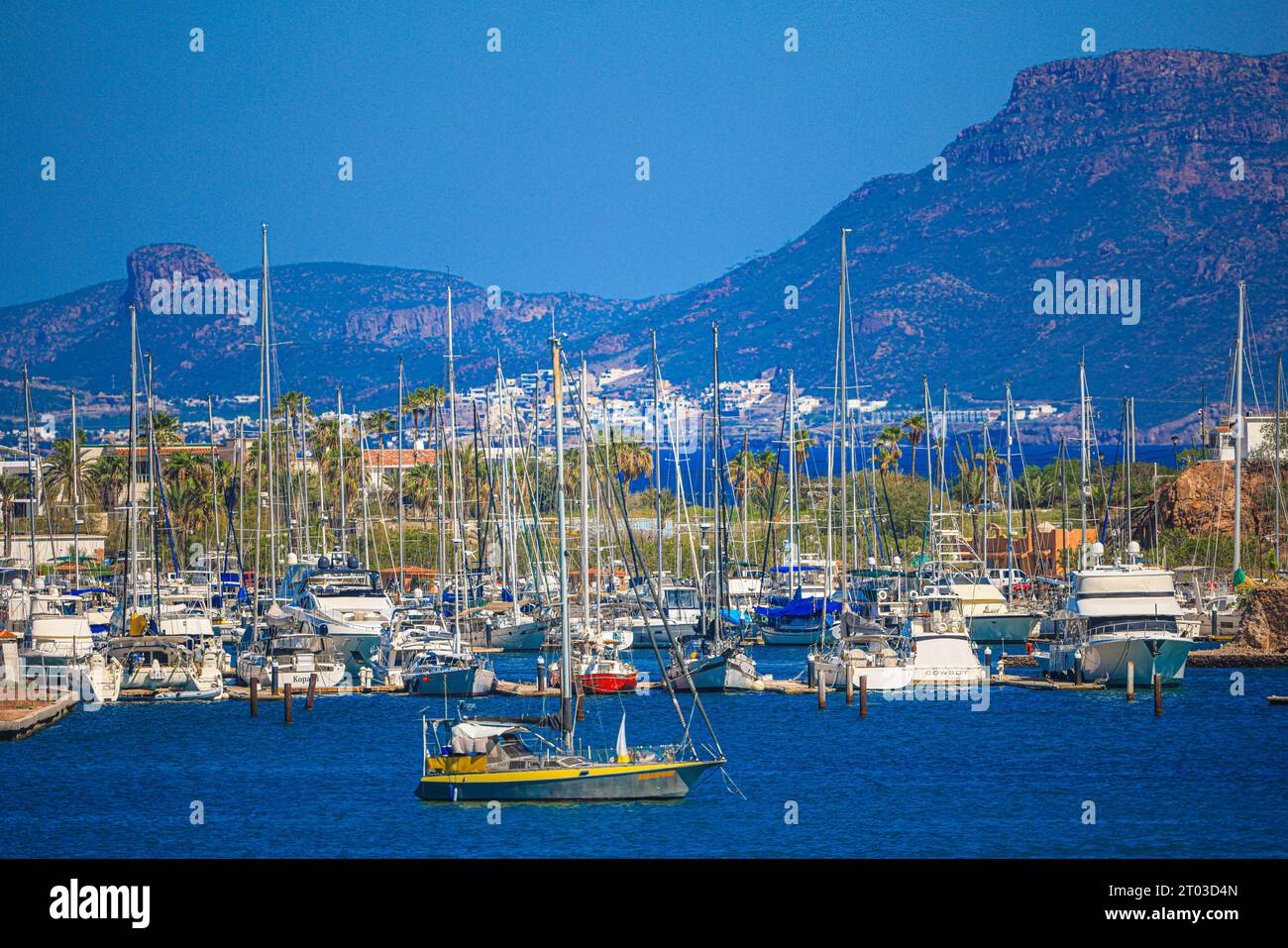 Tourist yachts and fishing boats in the marina of San Carlos Sonora ...